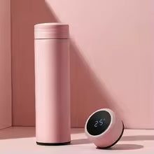 500ML Temperature Display Thermos Cup Stainless Steel Divided